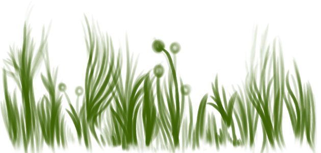 grass3.jpg