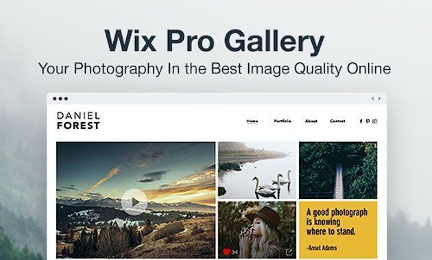 Приложение Wix Pro Gallery